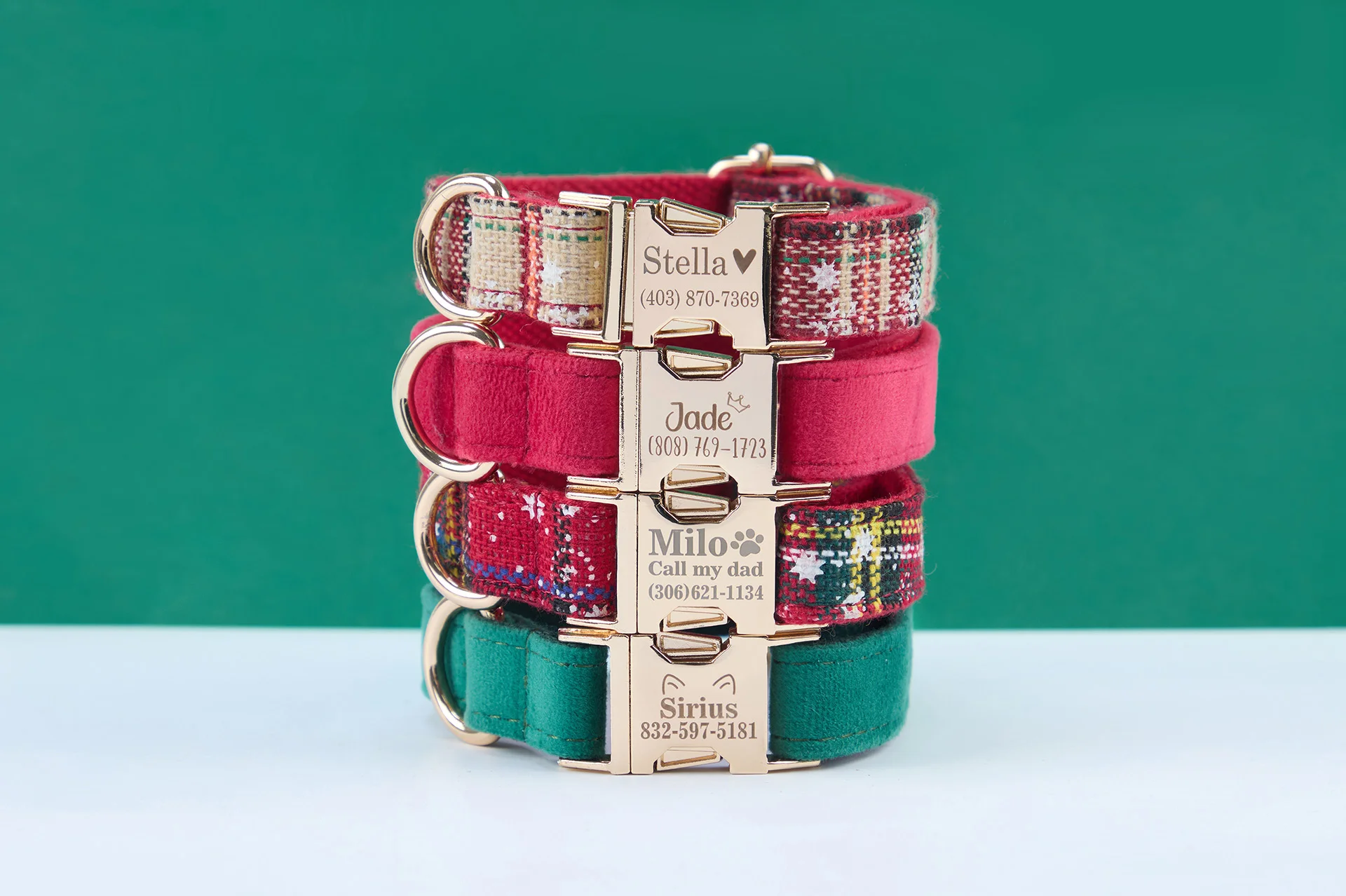 Personalized Pet Accessories visual production example