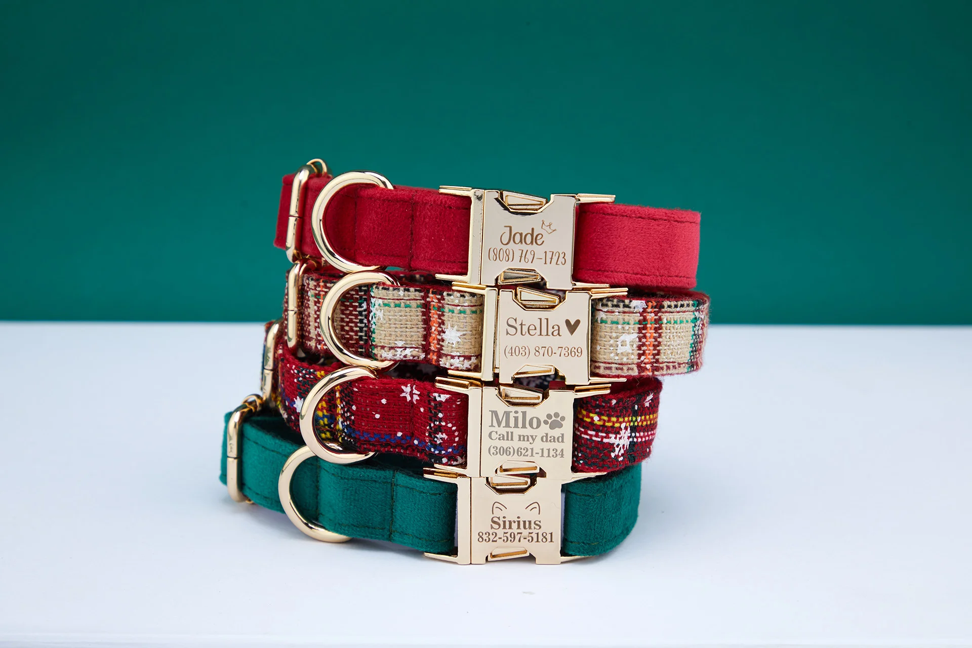 Personalized Pet Accessories visual production example