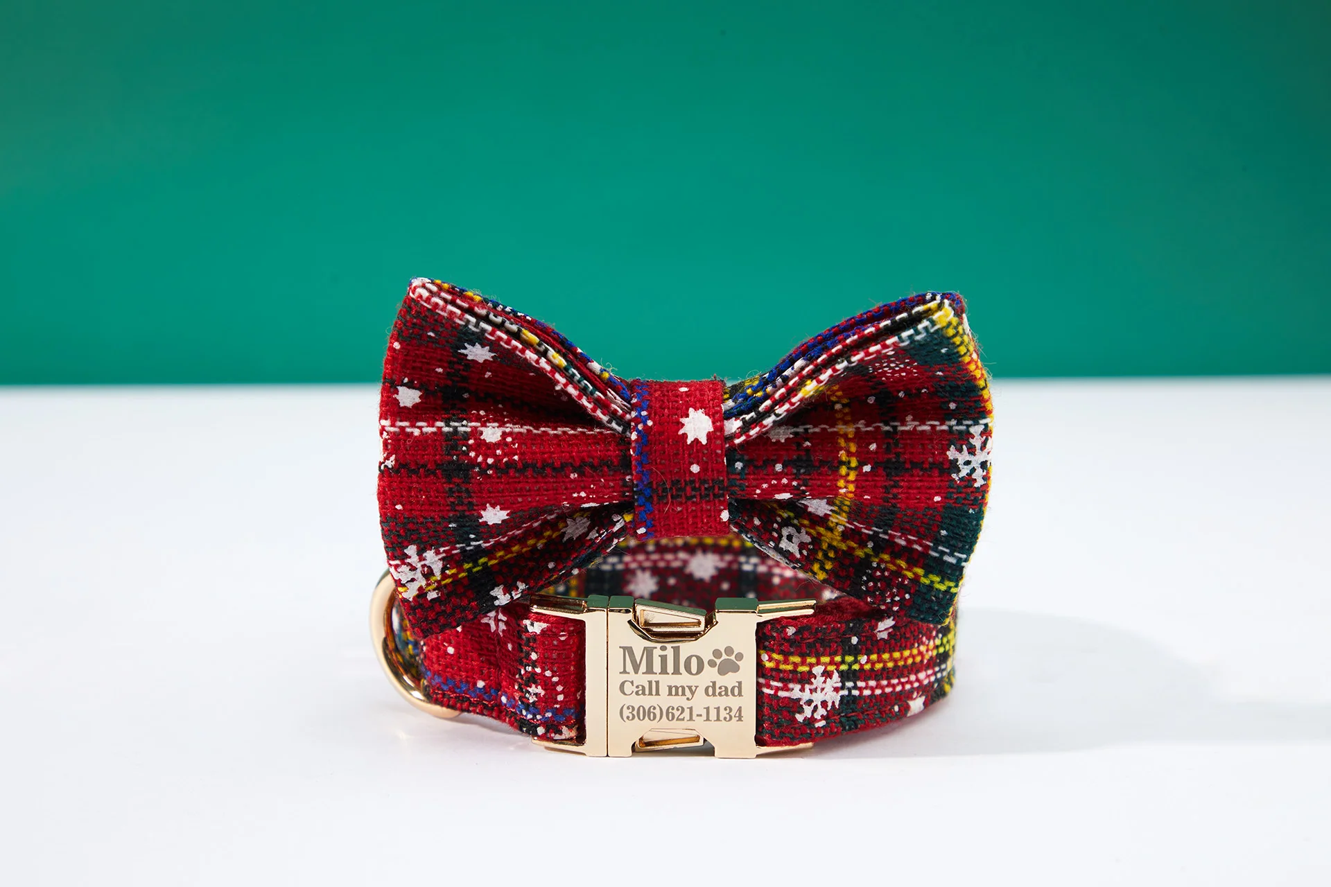 Personalized Pet Accessories visual production example