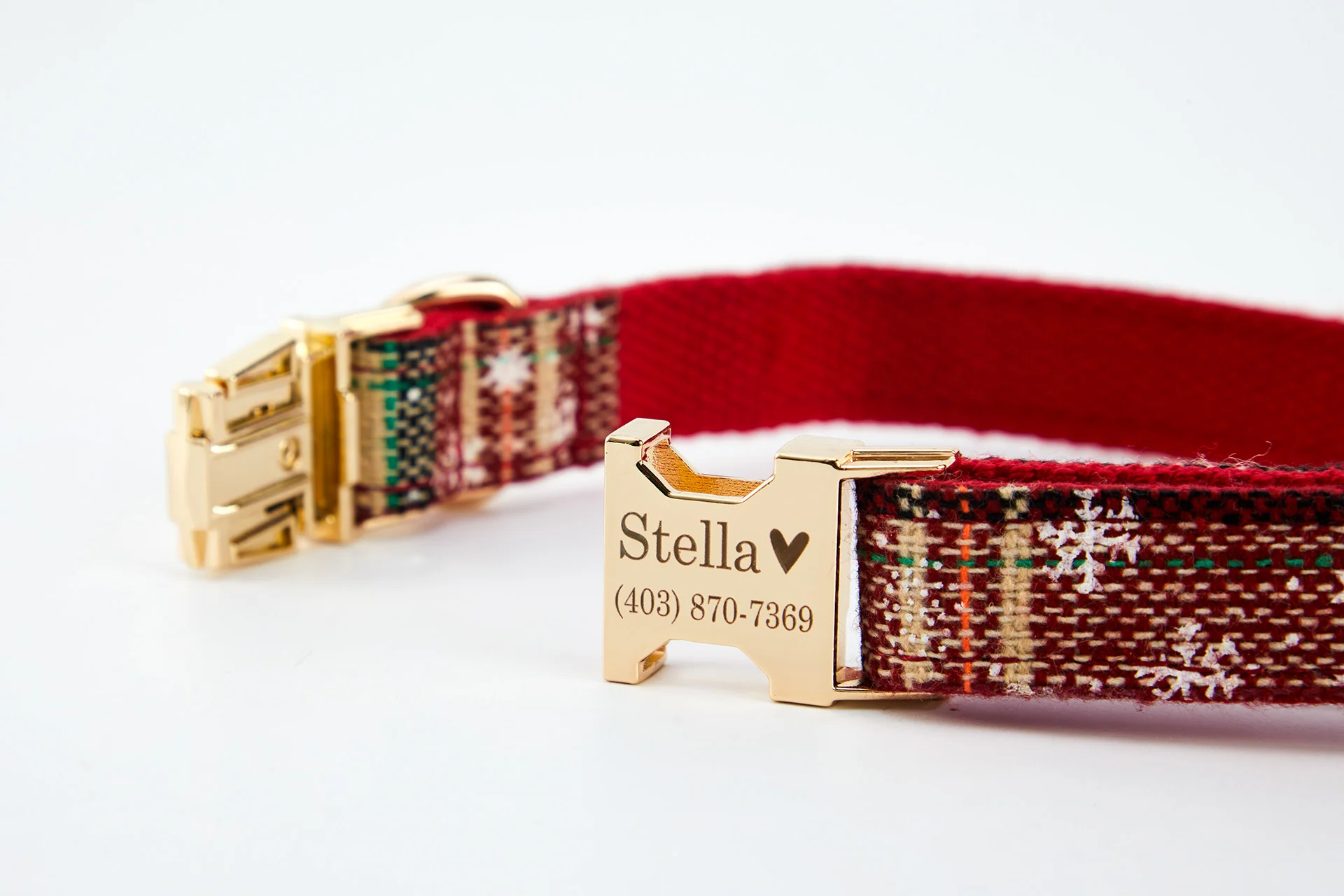 Personalized Pet Accessories visual production example