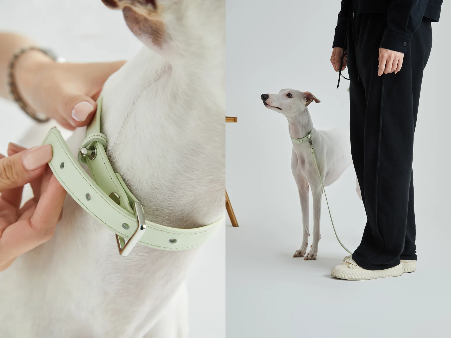 Pet Accessories Lifestyle Photography commercial photography example